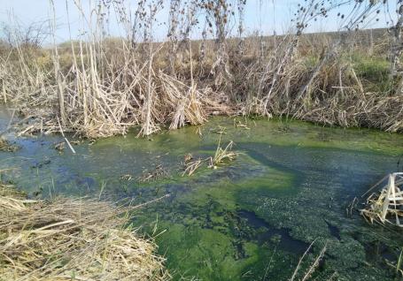 Un partid din România cere intervenția Ungariei în cazul apelor murdare deversate în râurile Ier și Barcău, în Bihor (DOCUMENT)