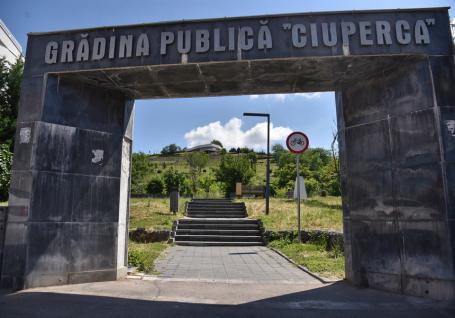 Sindromul Dealul Ciuperca