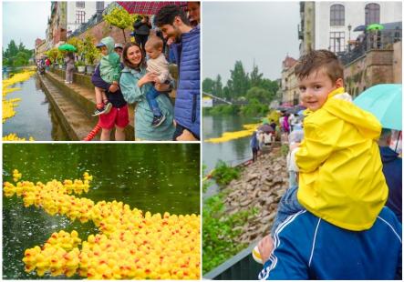Cursa Rățuștelor, pe ploaie, la Oradea: 10.000 de rățuște au colorat Crișul Repede de Ziua Copilului (FOTO/VIDEO)