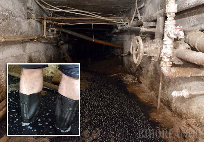 Lyrical crash Electrician Buda din beci: Sute de blocuri din Oradea au canalizarea menajera...