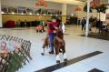 Micuţii sunt invitaţi să se joace la "Ferma animalelor", în ERA Shopping Park (FOTO)