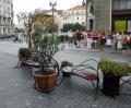 Orădenii, chemaţi să se pronunţe cu privire la un nou mobilier urban pe Corso (FOTO)