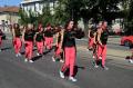 Caravana florilor-gigant a colorat Oradea (FOTO)