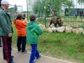 Grădina Zoologică, luată cu asalt de copii şi părinţi