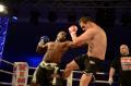 Errol "The bonecrusher" Zimmerman a câştigat piramida Fight Club, de la Oradea, după ce şi-a lăsat adversarul aproape inconştient