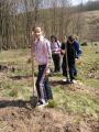 O mână de elevi au împădurit o zonă din Hidişelu de Sus cu 300 de copaci (FOTO)