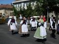 Caravana florilor-gigant a colorat Oradea (FOTO)