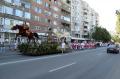 Caravana florilor-gigant a colorat Oradea (FOTO)