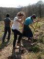 O mână de elevi au împădurit o zonă din Hidişelu de Sus cu 300 de copaci
