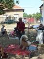 Cei mai frumoşi căţei au defilat în Parcul Bălcescu (FOTO/VIDEO)