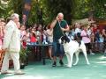 Cei mai frumoşi căţei au defilat în Parcul Bălcescu (FOTO/VIDEO)