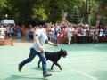 Cei mai frumoşi căţei au defilat în Parcul Bălcescu (FOTO/VIDEO)