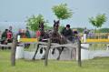 "Paradă" de cai la Cefa: Participanţii la concursul naţional de atelaje i-au vrăjit, pur şi simplu, pe spectatori