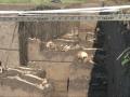 Zeci de schelete au fost descoperite într-un sat dispărut în secolul XVII (FOTO)