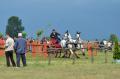 "Paradă" de cai la Cefa: Participanţii la concursul naţional de atelaje i-au vrăjit, pur şi simplu, pe spectatori