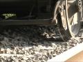 Nu s-a asigurat: Un şofer de TIR, în vârstă de 25 de ani, a murit zdrobit de tren
