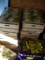 Alcool contrafăcut şi peste 27 de tone de legume, fructe şi ouă fără acte, confiscate în Piaţa Obor