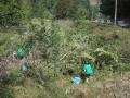 Voluntarii au amenajat un colţ de rai pe Valea Iadului (FOTO)