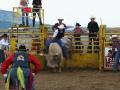 Furtuna n-a oprit Rodeo-Show-ul din Felix. Cowboy-ii au făcut spectacol (FOTO)