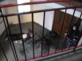 Un orădean de 28 de ani a murit zdrobit, după ce s-a aruncat de la etaj (FOTO)