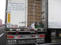 Peste 160 de tone de fructe ce urmau să ajungă la firme fantomă, confiscate în Borş