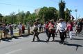 Caravana florilor-gigant a colorat Oradea (FOTO)