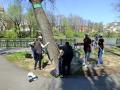 Rădăcini pentru Oradea: În această primăvară, Primăria plantează aproape 800 de copaci în oraş (FOTO)