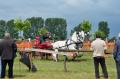 "Paradă" de cai la Cefa: Participanţii la concursul naţional de atelaje i-au vrăjit, pur şi simplu, pe spectatori (FOTO)