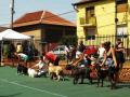 Cei mai frumoşi căţei au defilat în Parcul Bălcescu (FOTO/VIDEO)