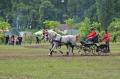 "Paradă" de cai la Cefa: Participanţii la concursul naţional de atelaje i-au vrăjit, pur şi simplu, pe spectatori (FOTO)