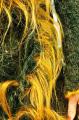 Unic în lume: rochia dintr-un milion de metri de fire de păr (FOTO)