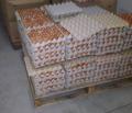 Bombă toxică! Zeci de mii de ouă alterate, descoperite într-un depozit clandestin din Oradea (FOTO)
