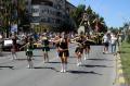 Caravana florilor-gigant a colorat Oradea (FOTO)