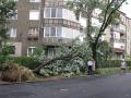 Rupere de nori la Oradea: Străzi inundate şi patru maşini distruse, după ce un acoperiş s-a prăbuşit