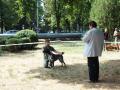 Cei mai frumoşi căţei au defilat în Parcul Bălcescu (FOTO/VIDEO)