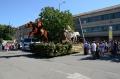 Caravana florilor-gigant a colorat Oradea (FOTO)