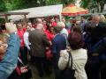 Chef electoral: Europarlamentarii PSD au venit să petreacă cu simpatizanţii în Parcul Bălcescu (FOTO)
