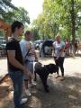 Cei mai frumoşi căţei au defilat în Parcul Bălcescu (FOTO/VIDEO)