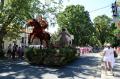 Caravana florilor-gigant a colorat Oradea (FOTO)