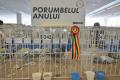 Expoziţia Naţională Columbofilă: Sute de porumbei voiajori, inclusiv campionii României, expuşi la Oradea