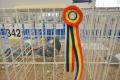 Expoziţia Naţională Columbofilă: Sute de porumbei voiajori, inclusiv campionii României, expuşi la Oradea (FOTO/VIDEO)
