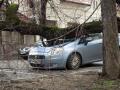 Strada Roman Ciorogariu, închisă: Un copac scos din rădăcini de furtună a găurit capota unei maşini (FOTO)