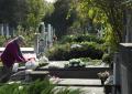 Ziua Morţilor a umplut cimitirul de lumină