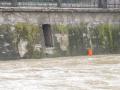 Promenada, din nou inundată: Crişul şi-a mărit debitul de 10 ori! (FOTO)