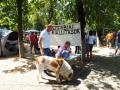 Cei mai frumoşi căţei au defilat în Parcul Bălcescu (FOTO/VIDEO)