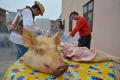 Poftiţi la pomana porcului! Orădenii pot degusta în Cetate jumări, toroş, caldaboşi şi cârnaţi (FOTO)