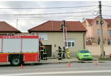 (foto: ISU Crişana)