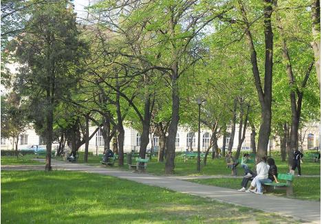 ŞI "RENOVĂRI". Pe lângă zone verzi noi, strategia verde prevede şi modernizarea parcurilor vechi din oraş: 1 Decembrie, Petofi, Libertăţii, Şanţul Cetăţii, Brătianu şi 22 Decembrie
