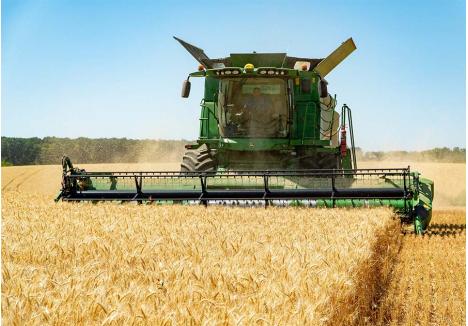 FALIMENTAȚI. Fermierii sunt falimentați de cerealele ieftine din Ucraina. „Prețurile au scăzut foarte mult. Ucrainenii au costuri mai mici și vând și în pierdere dacă pot să facă loc la noua recoltă”, spune fermierul Dan Corbuț