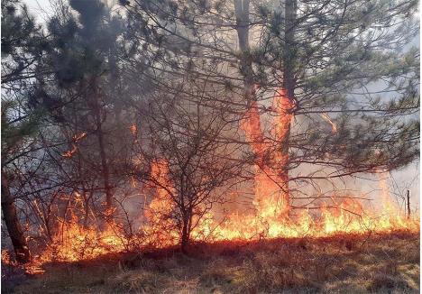 RISCANT. Pe câmp sau în curtea casei, bihorenii obișnuiesc să incendieze vegetația uscată, ceea ce nu este doar ilegal, ci și periculos, căci focul se poate extinde ușor la case sau păduri (sursa foto: ISU Crișana)